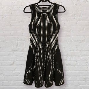 RVN Black & White A-Line Dress
